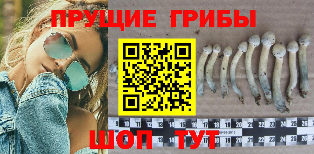 Галлюциногенные грибы Cubensis Новокузнецк
