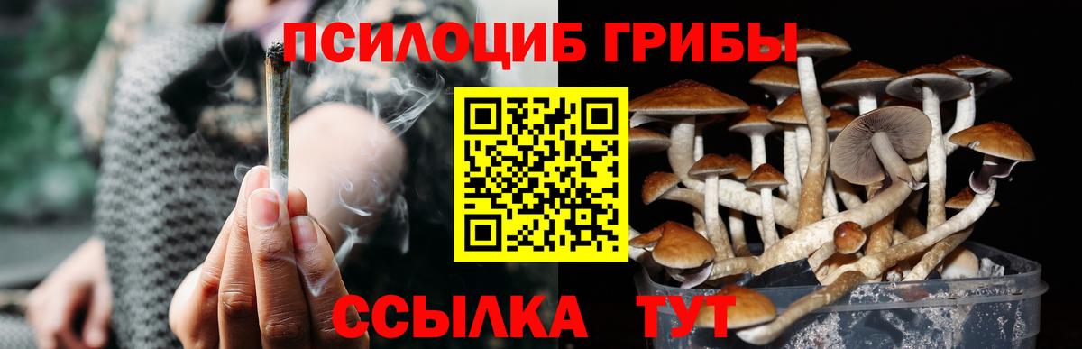 Псилоцибиновые грибы GOLDEN TEACHER  Вход с VPN  Новокузнецк 