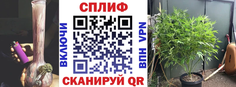 кракен зеркало  Новокузнецк  Шишки марихуана Bruce Banner  где продают  